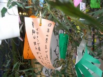今年もたくさんの願い事・・・ 今年もたくさんの願い事・・・